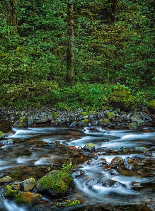 The Gorge