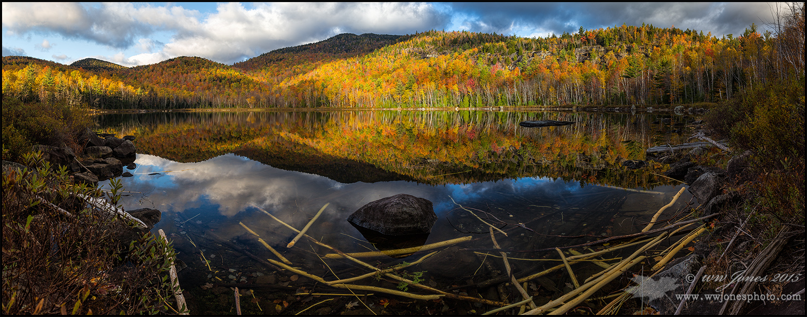 Round Pond Beaver Food