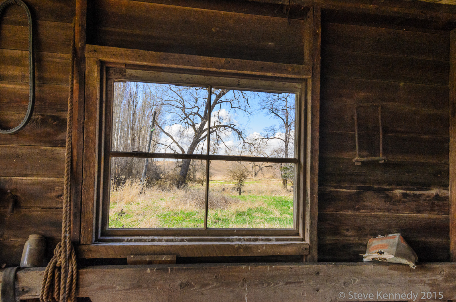 The Window