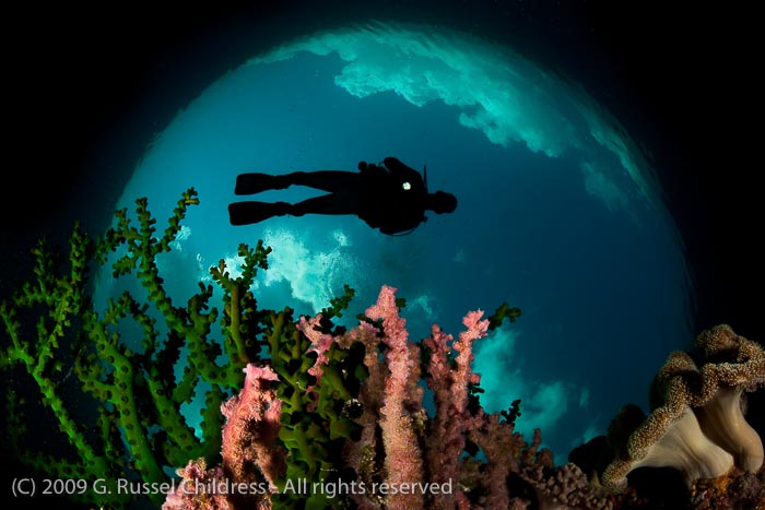 Earthrise over reef