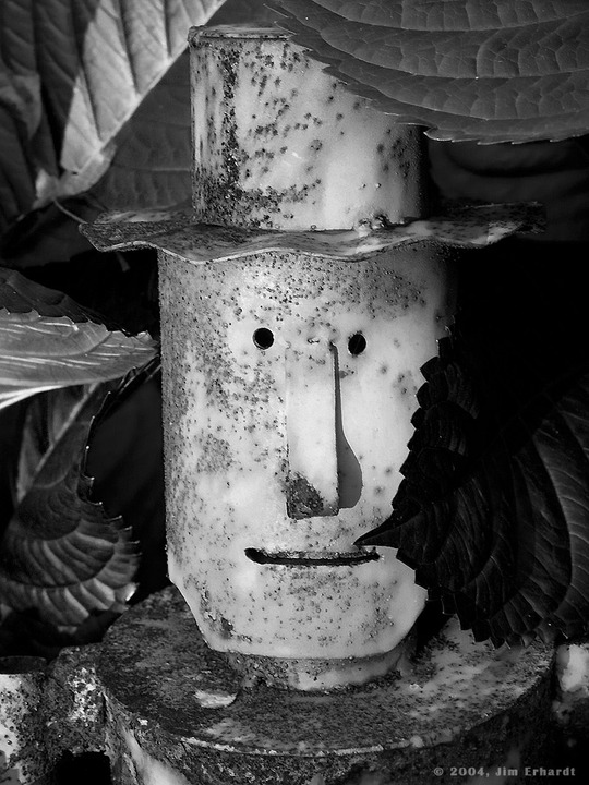 Tin Man