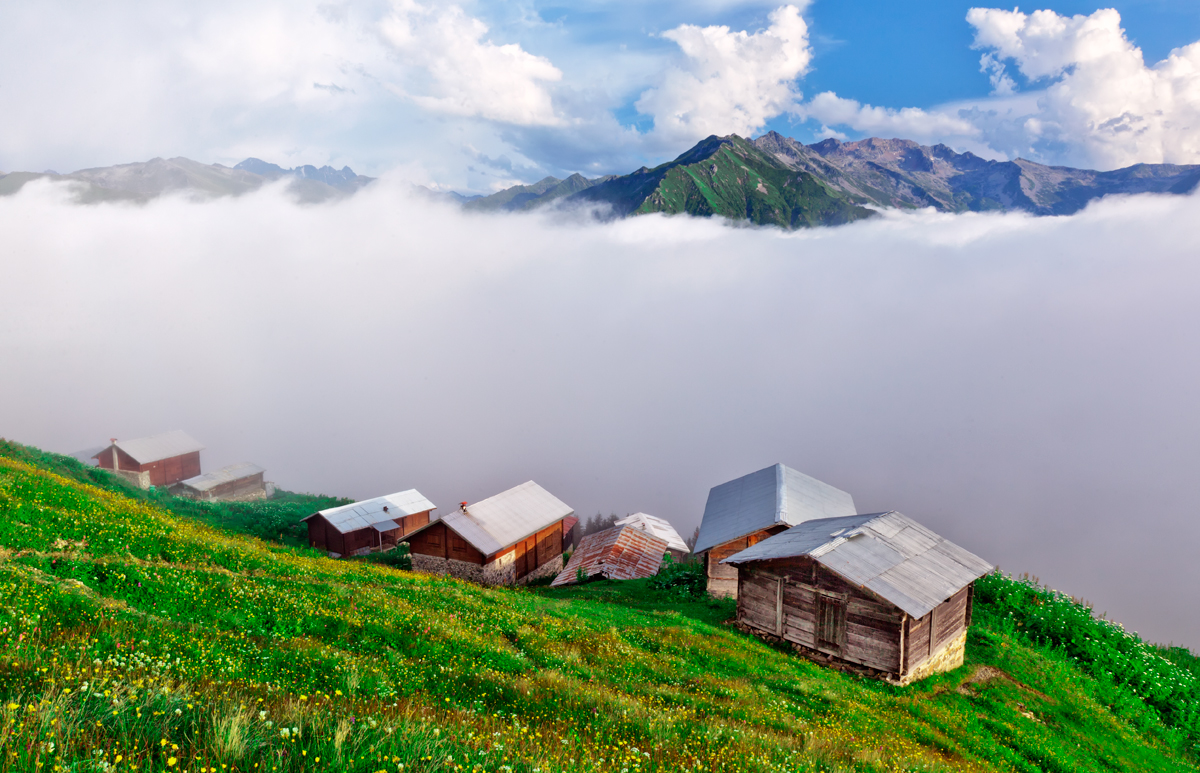 Pokut