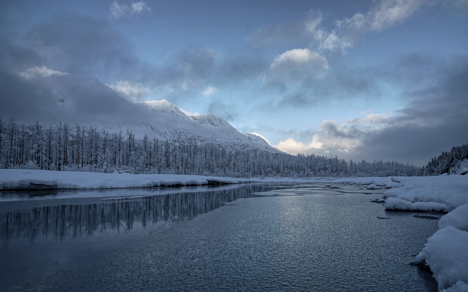 Blue & White Morning