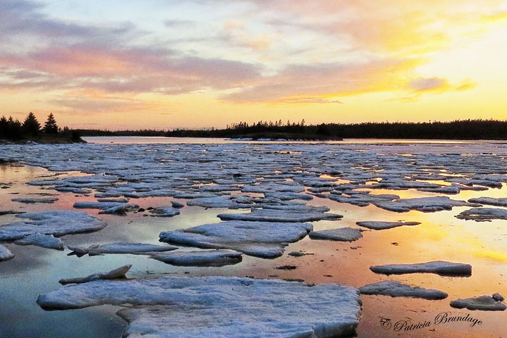 Mitchell Bay Sunset