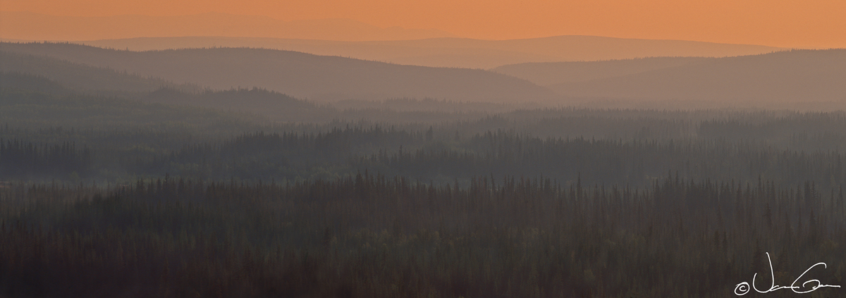 White Mountain Evening