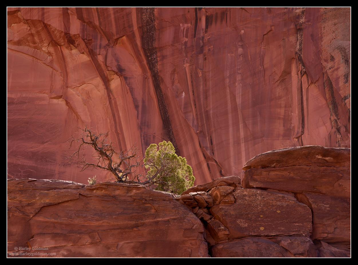 On A Ledge