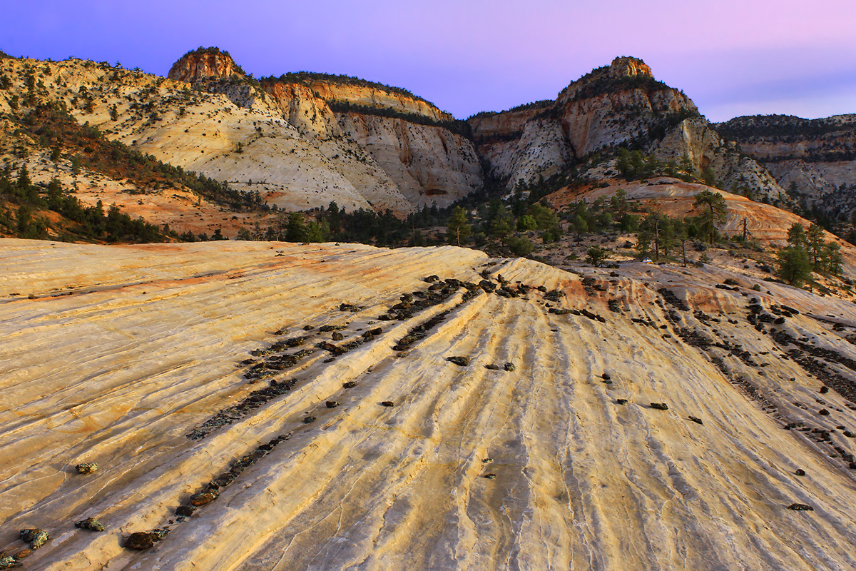 Tentscapes Rock