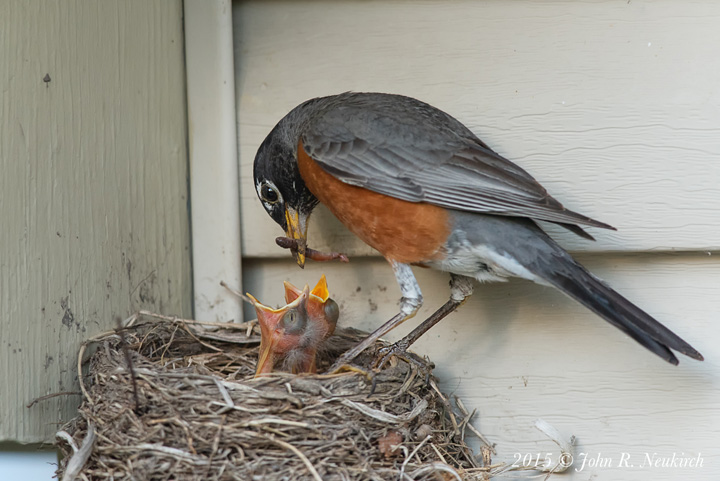 Happy Mothers Day!