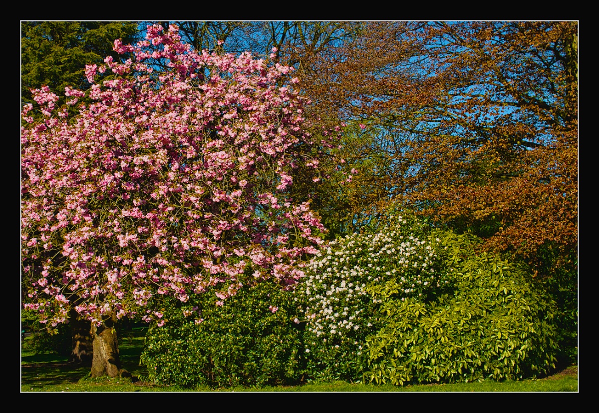 Textures of Spring