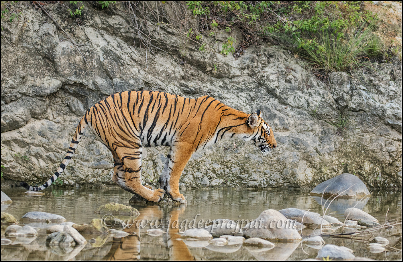 Balancing the Stripes