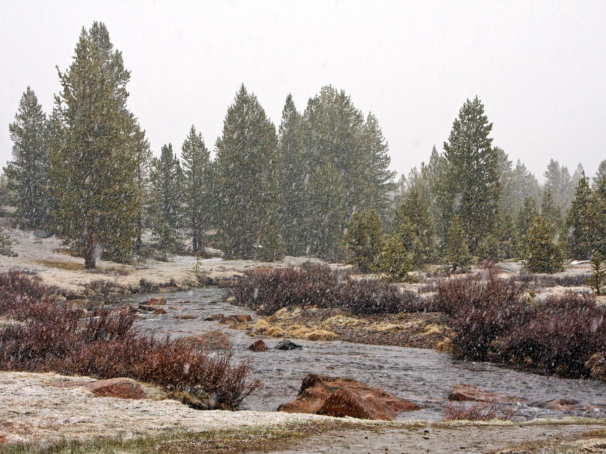 Yosemite's Snow