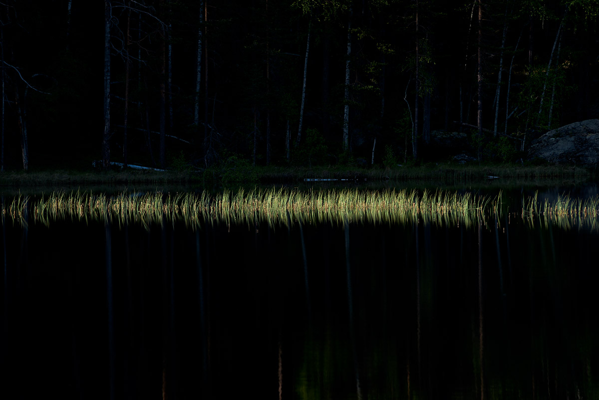 Illuminated grass