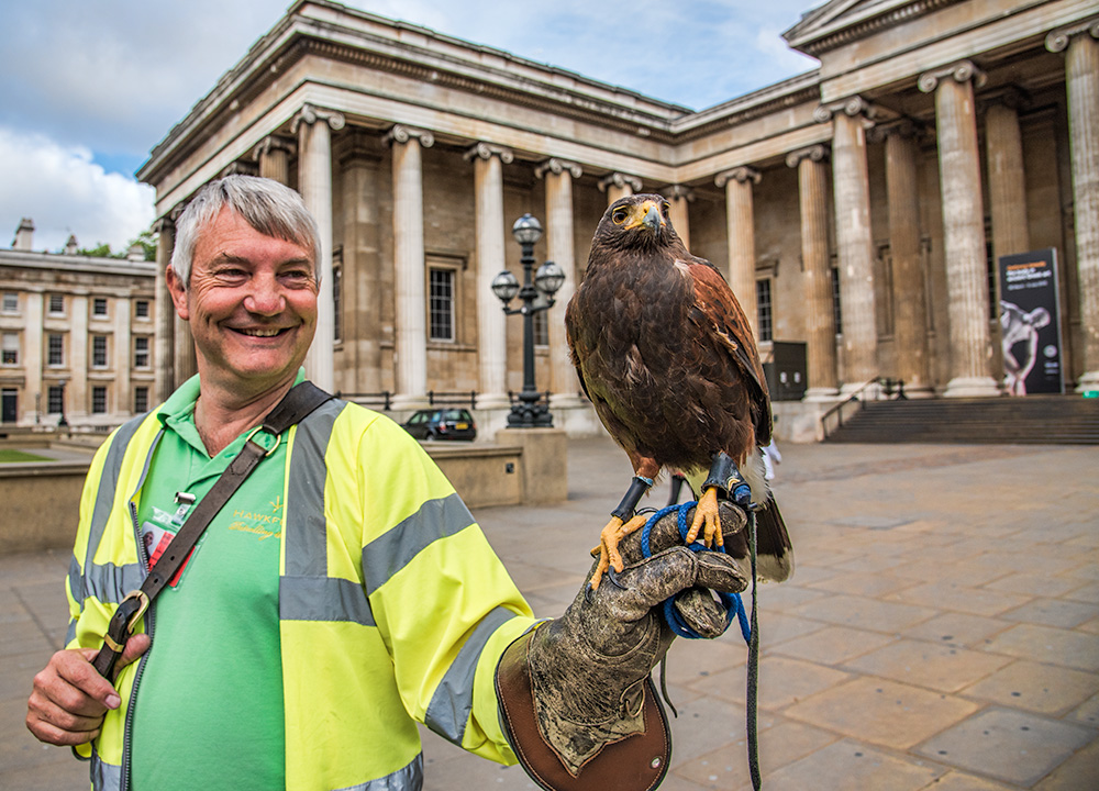 Pigeon Control