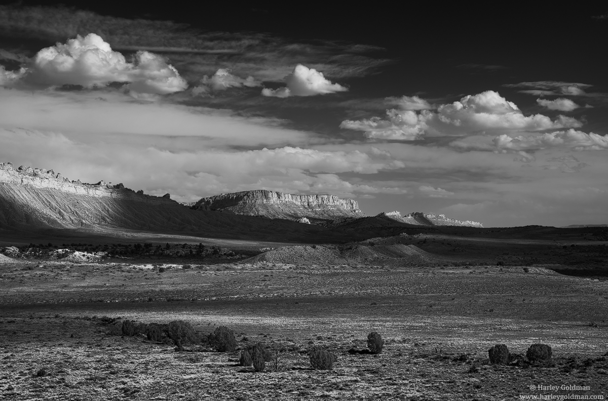High Desert Drifters