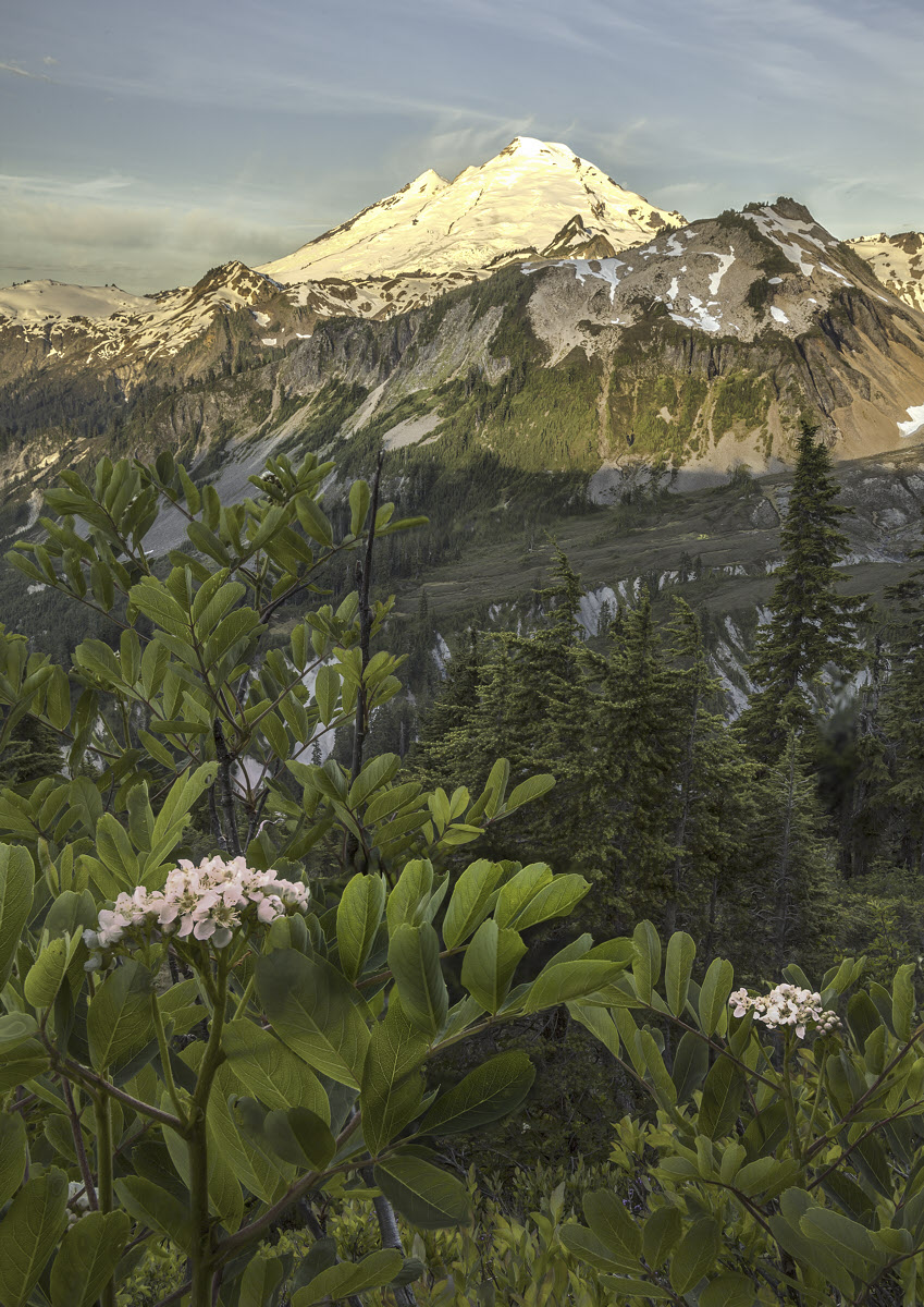 Mt Baker, Sunrise