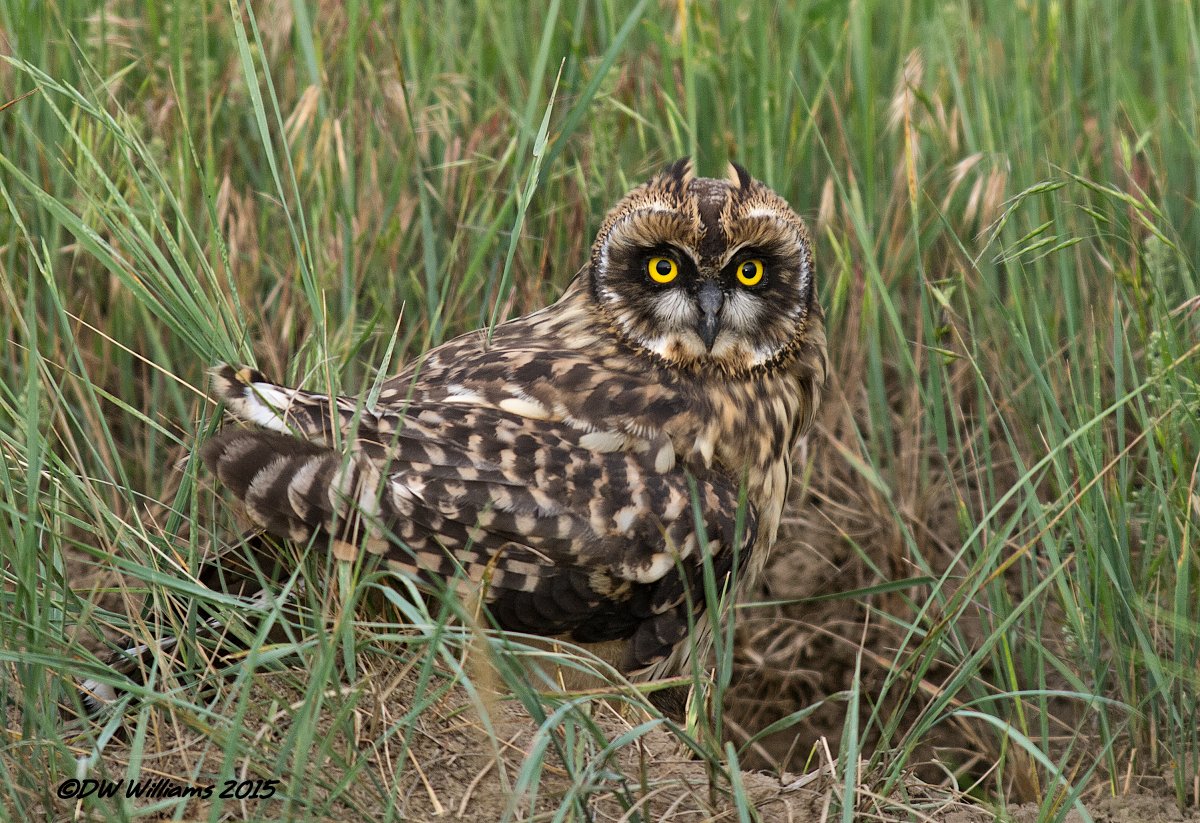 SEO Time Again