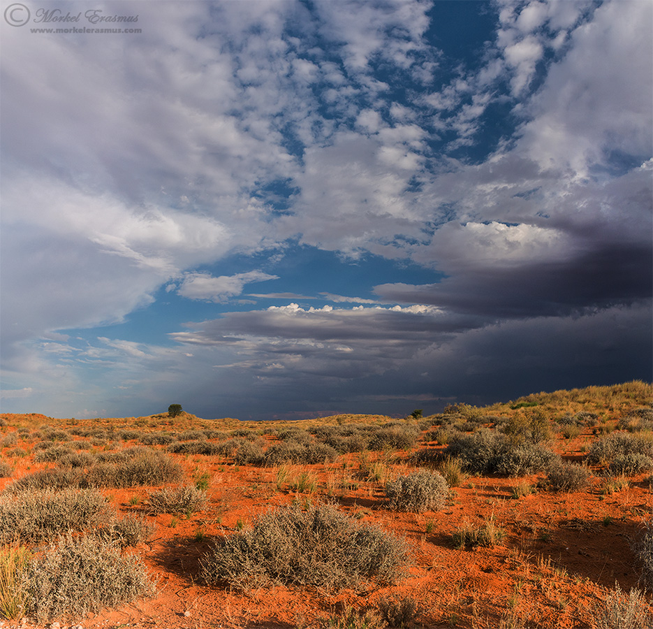 Kalahari Dune Palette