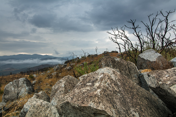 The  Stoneyard
