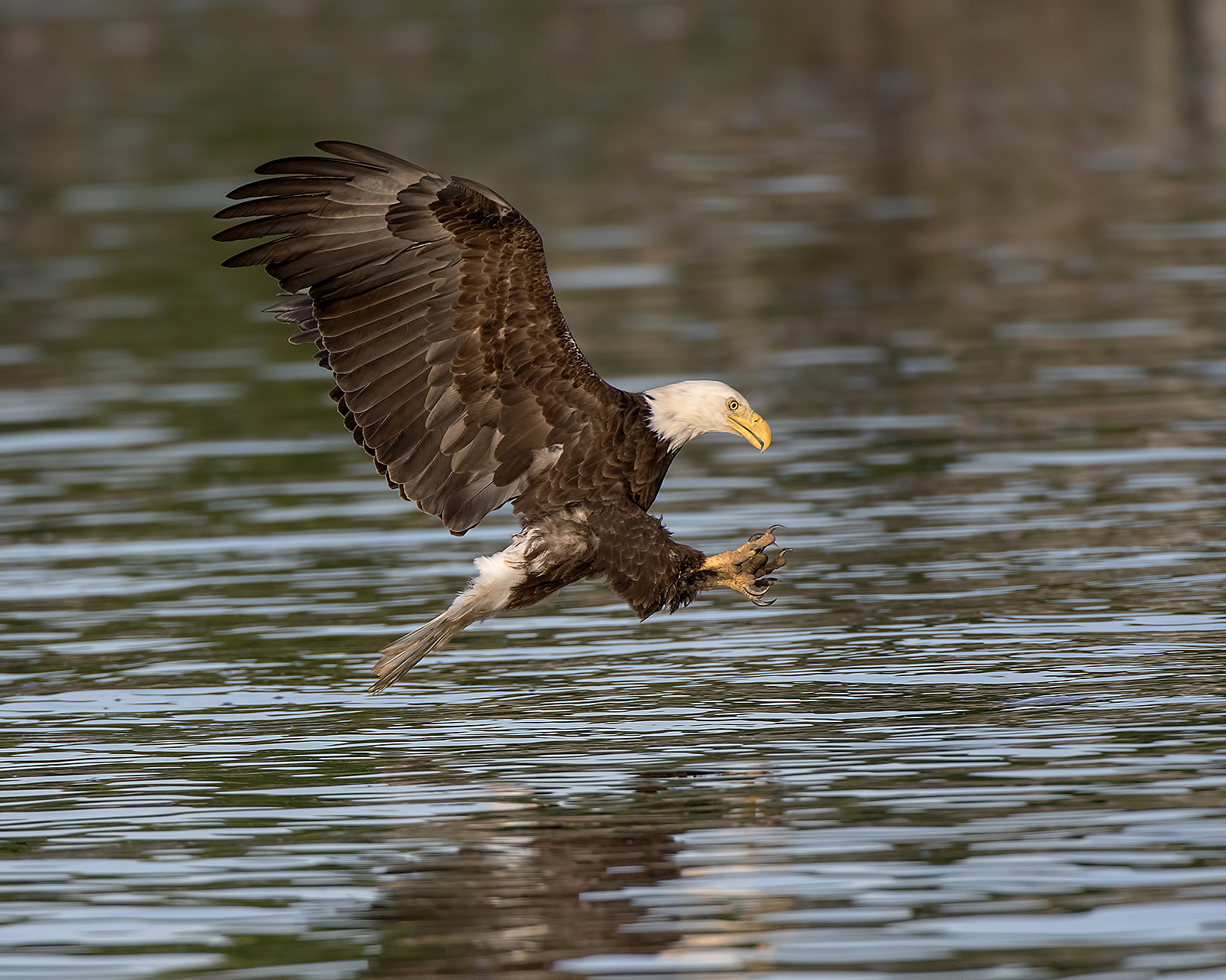Coming In