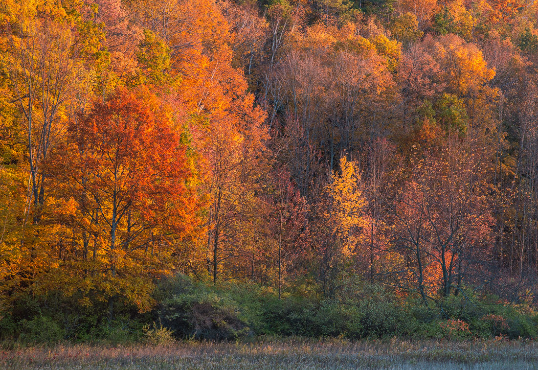 Autumn Layers