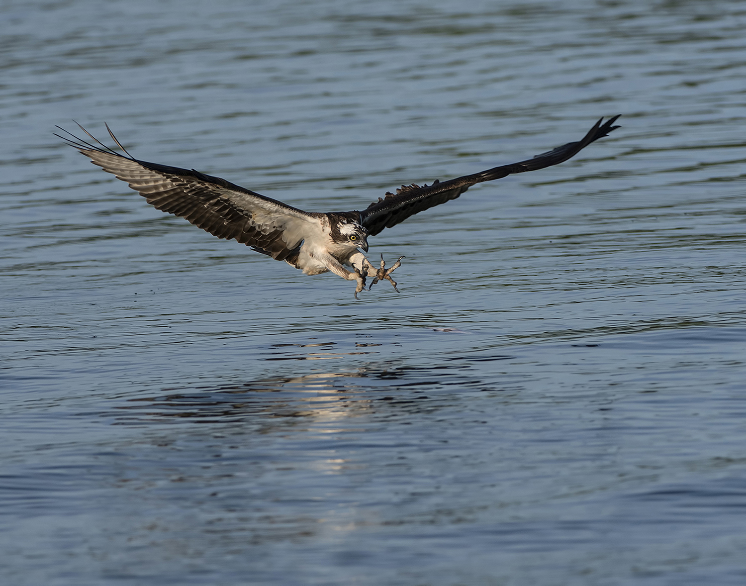 Coming In