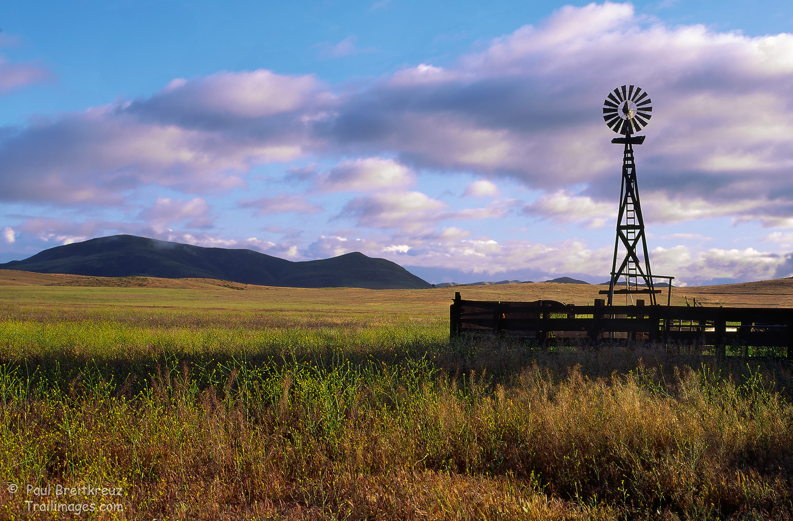 Open Range