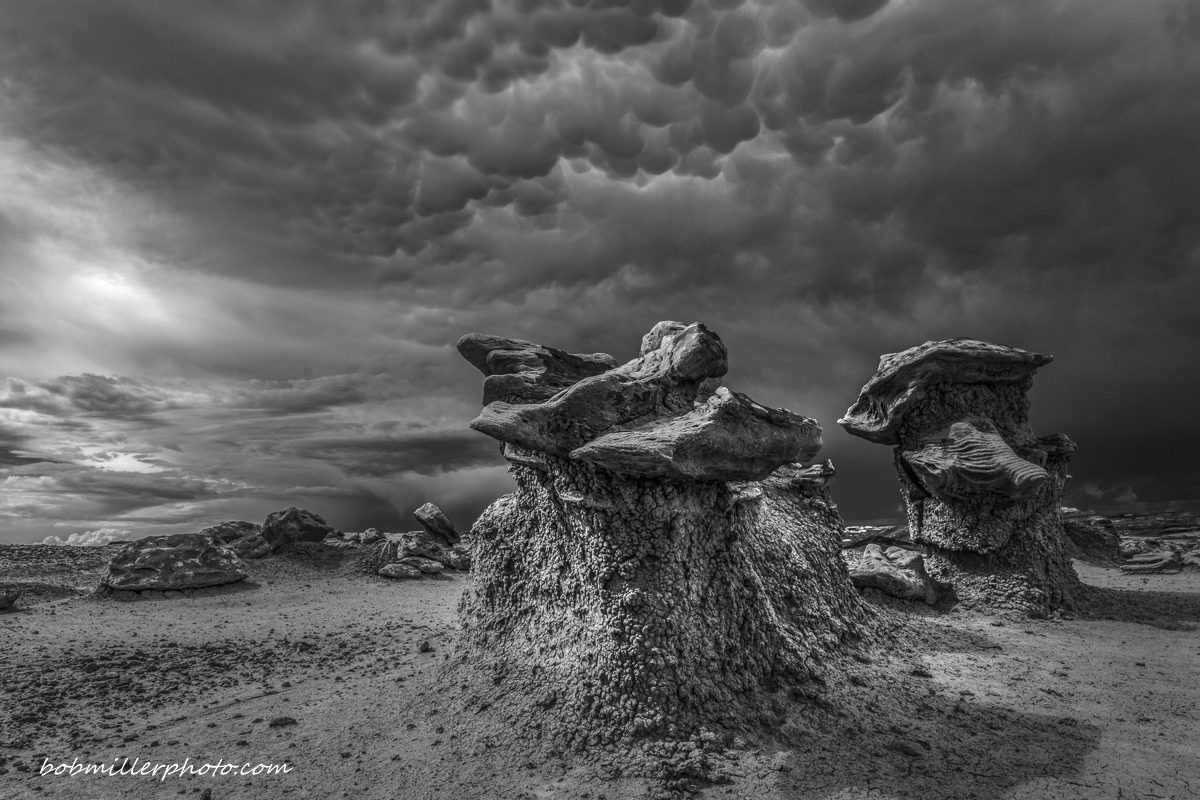 Bisti in Black & White