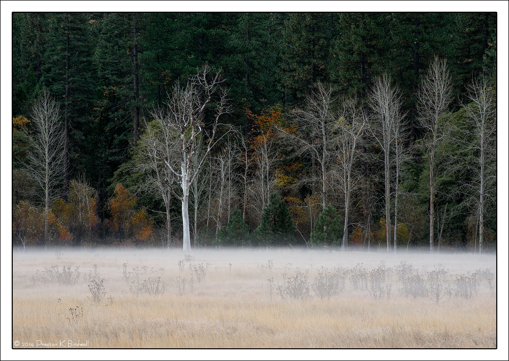 Leidig Meadow, Autumn + rp
