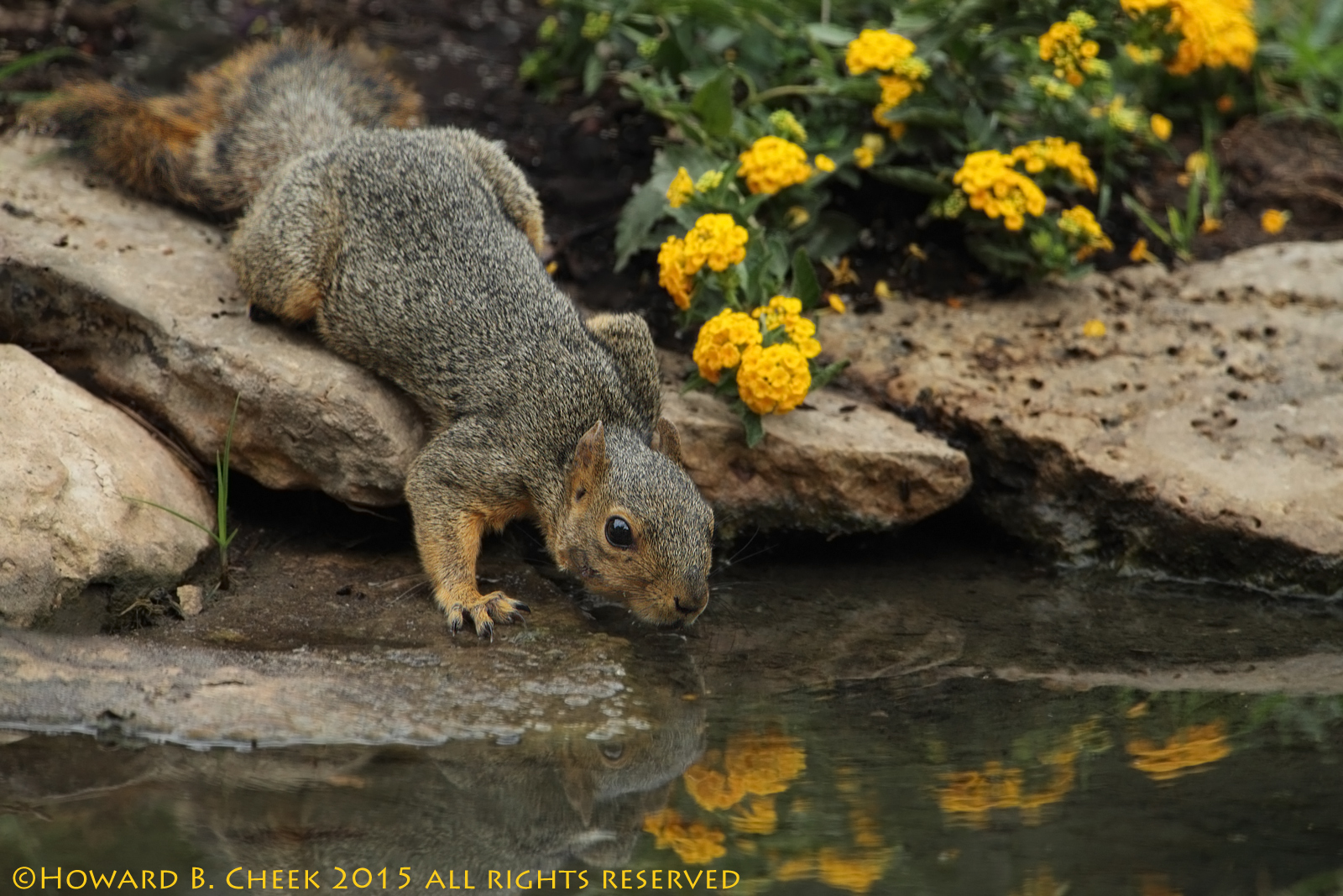 Living Water