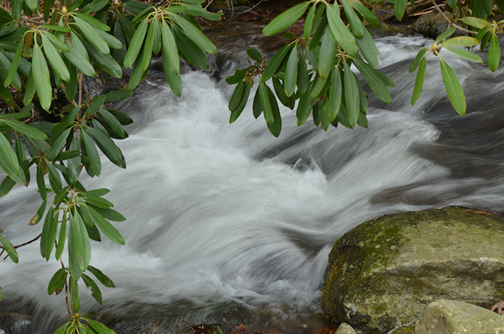 Stream in Cades Cove
