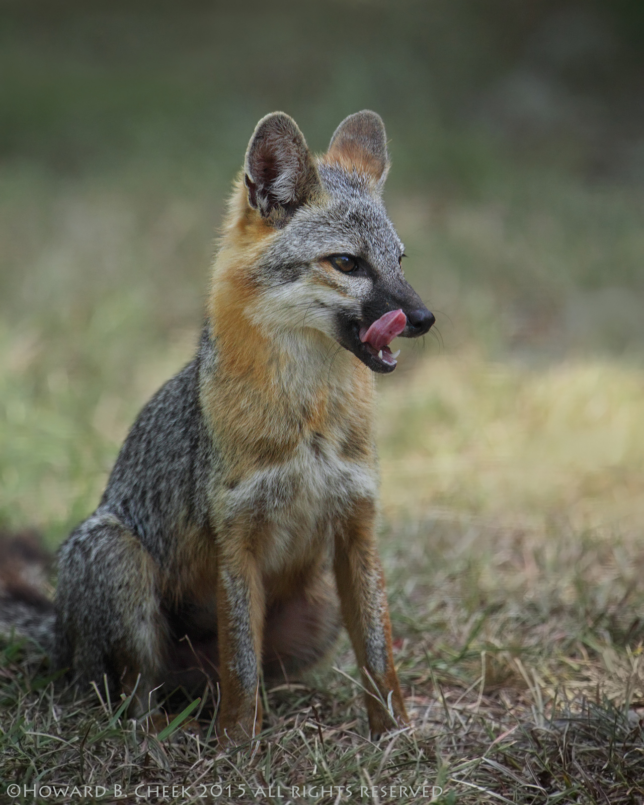 Lip Smackin' Good
