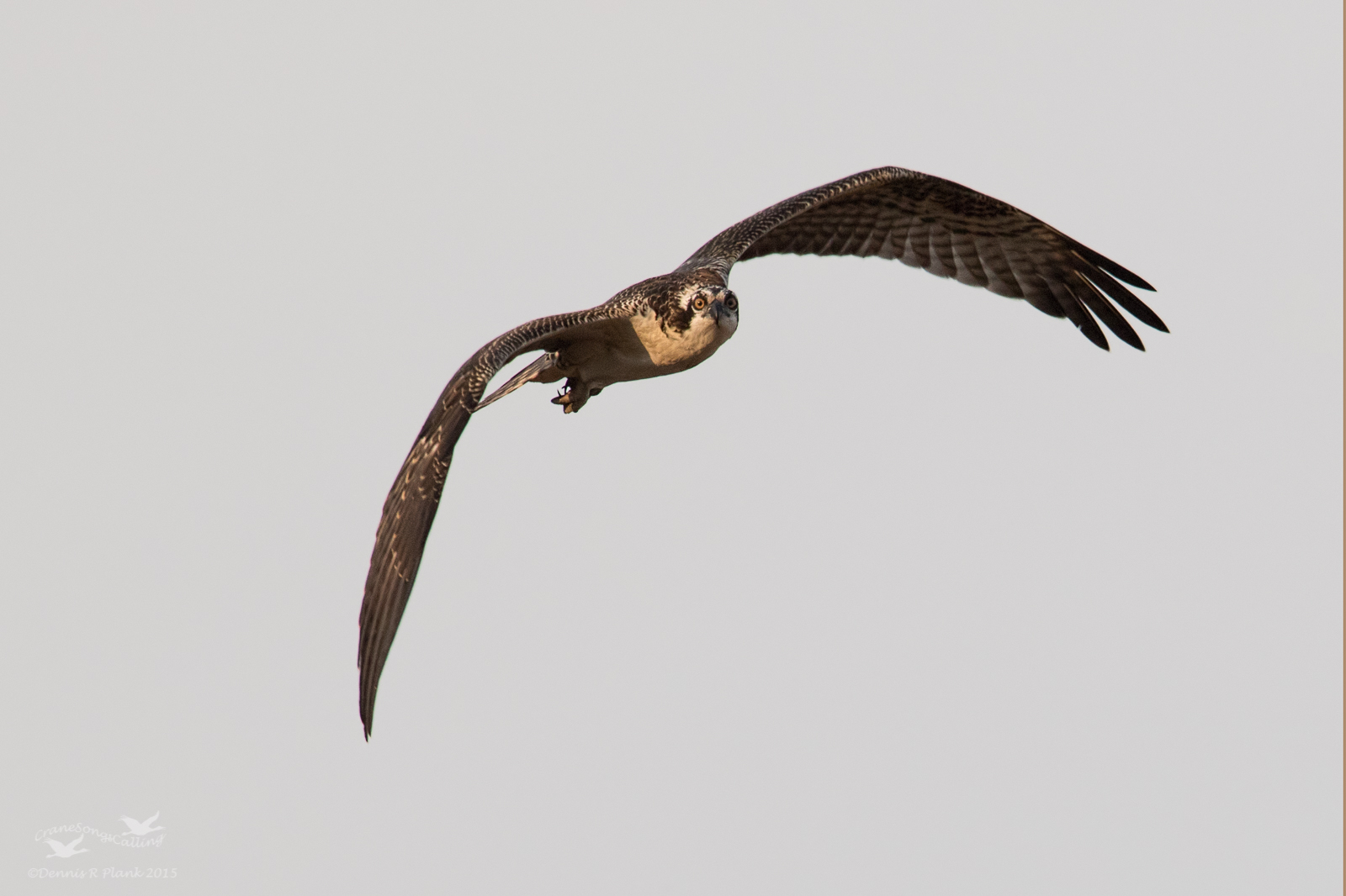 Osprey Approach