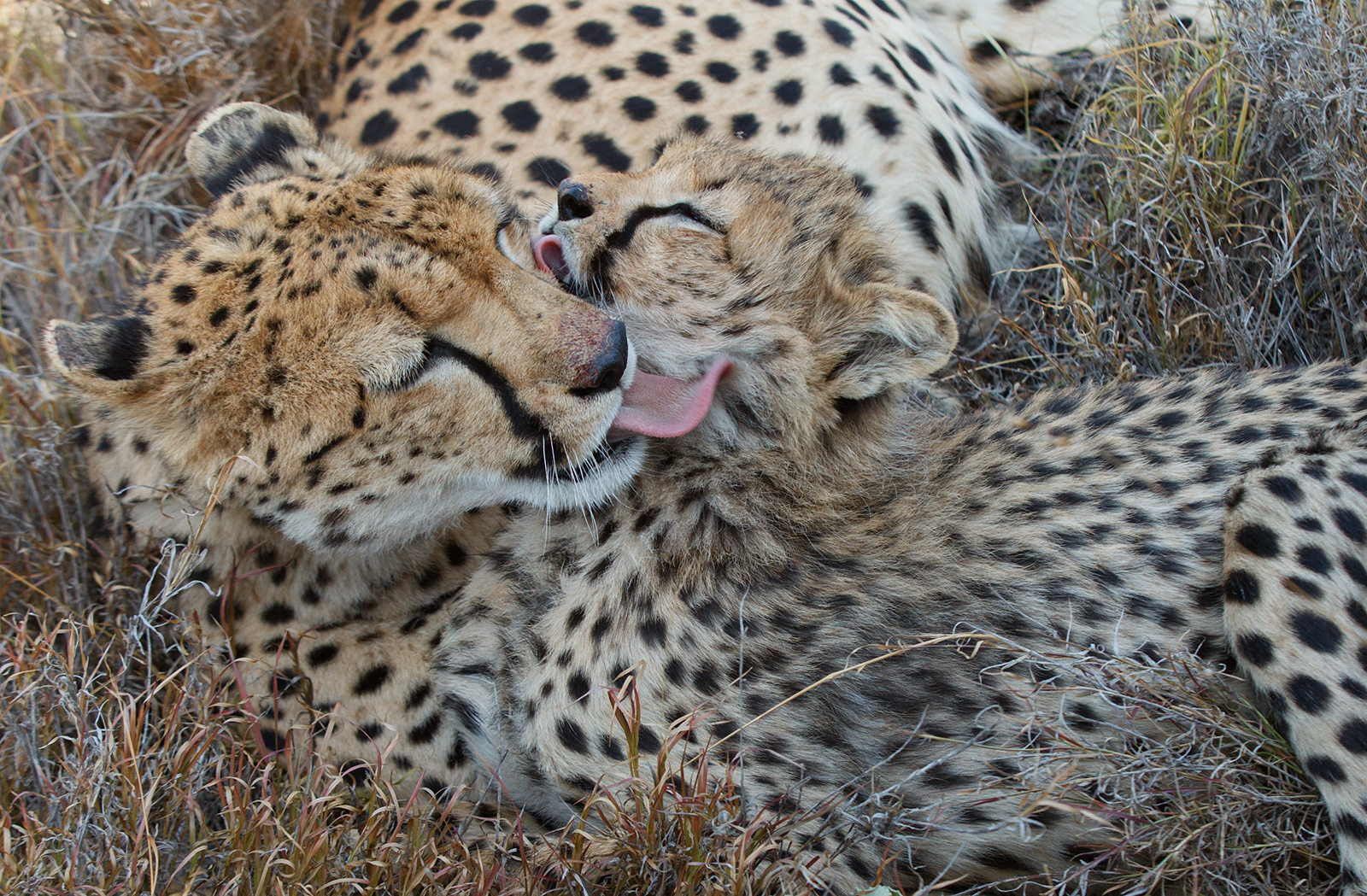 After Breakfast