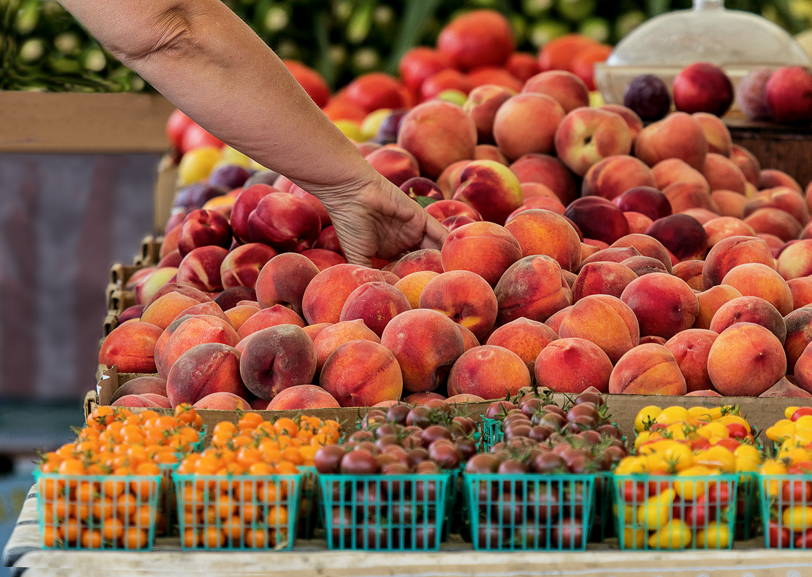 Picking Peaches