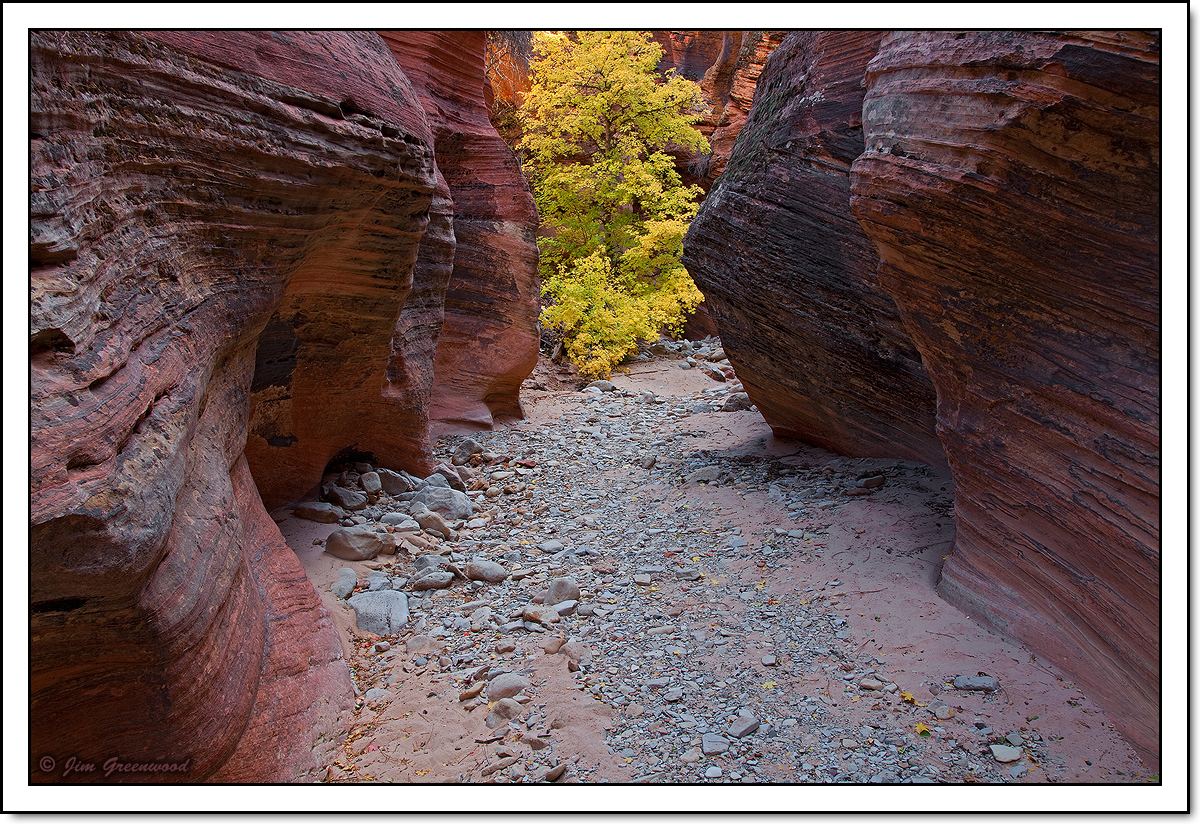 WC #700 - Nature's Path
