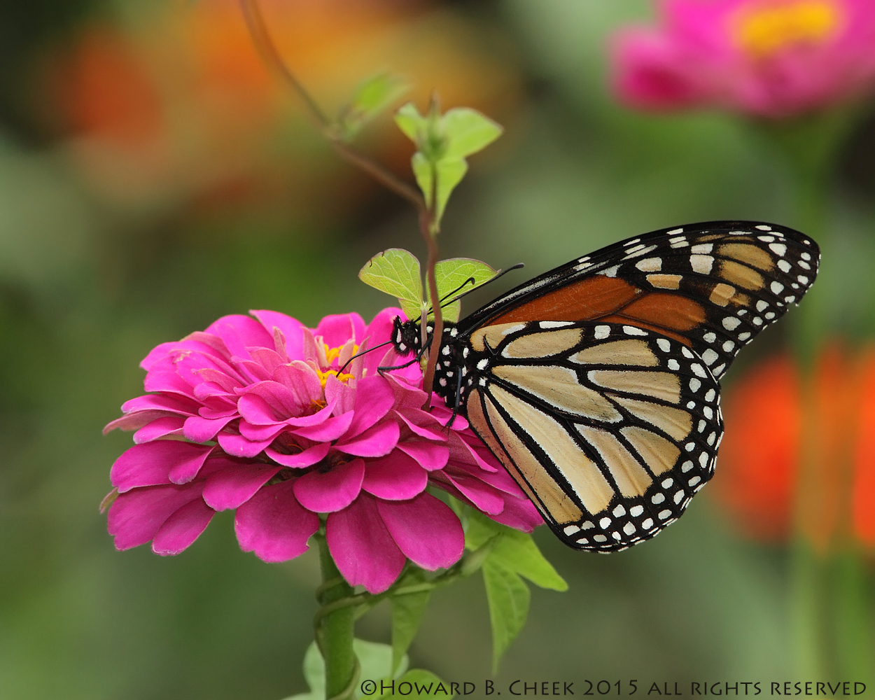 Tight Spaces