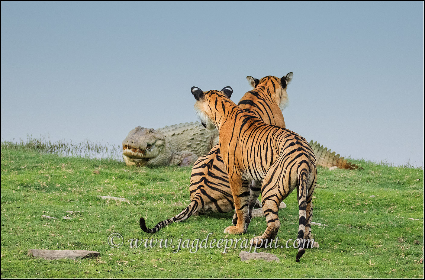 A face - off II