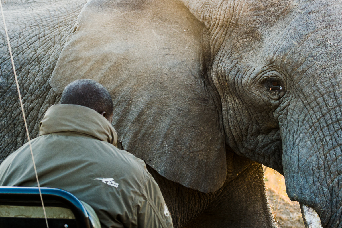 Close Encounter Repost