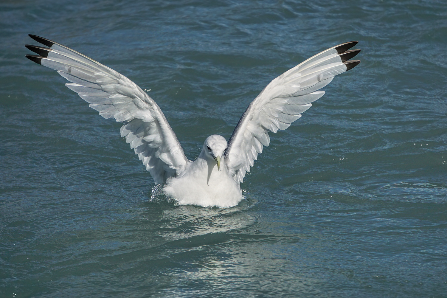Gentle Landing