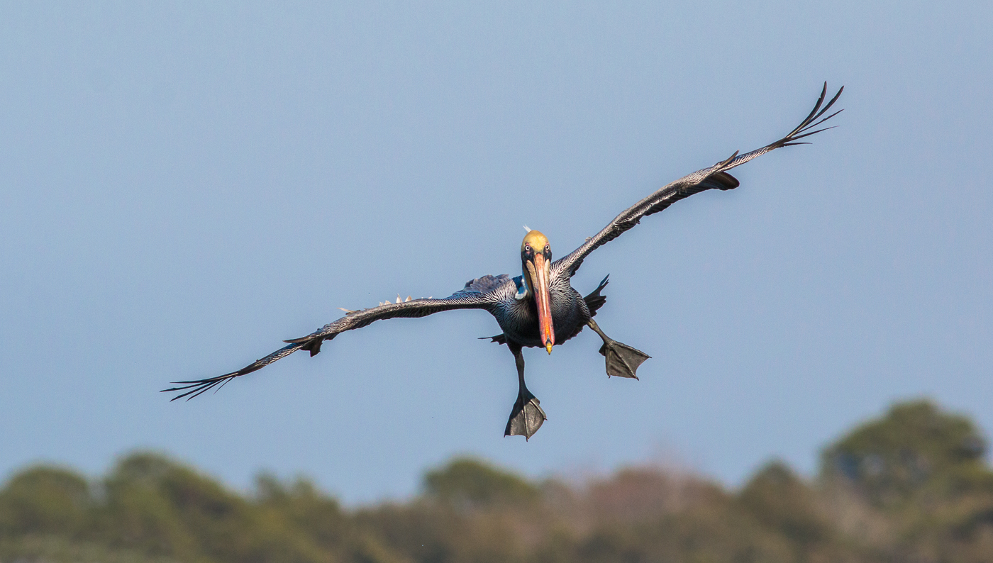 Clear The Runway