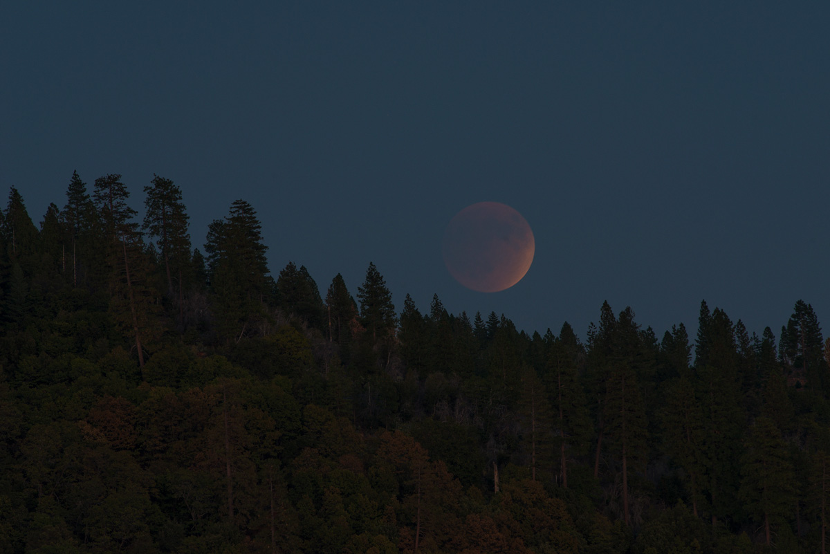 Blood Moon Rising & Repost