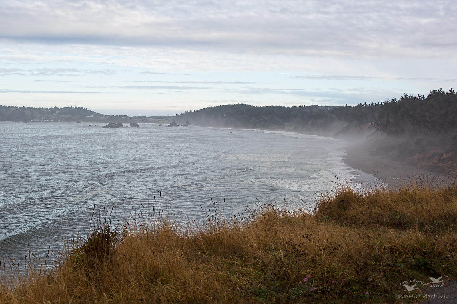 Oregon Coast