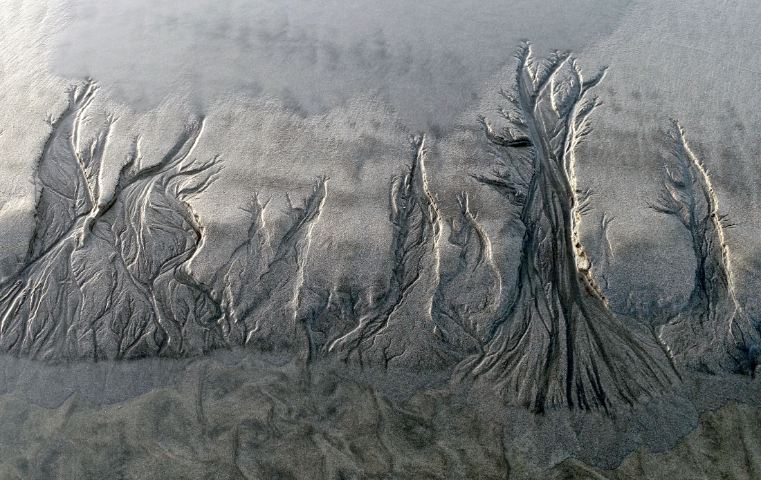 Sand Trees 2