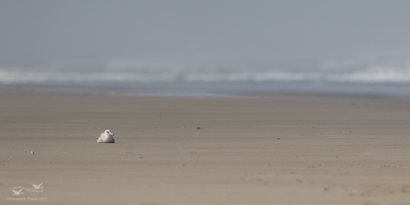 Oregon Beaches