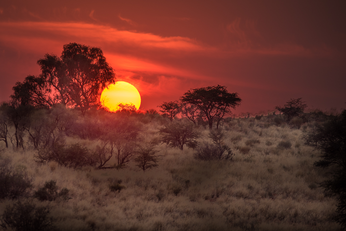 African Sunset