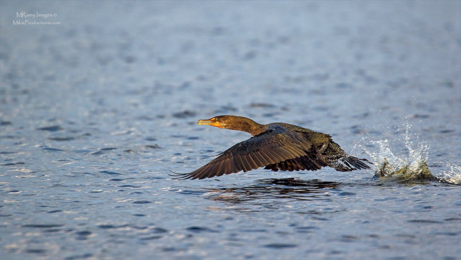 Lift Off