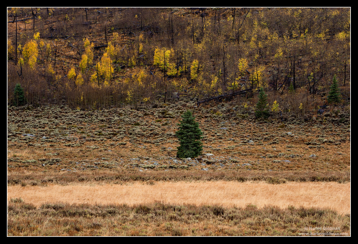 All Alone