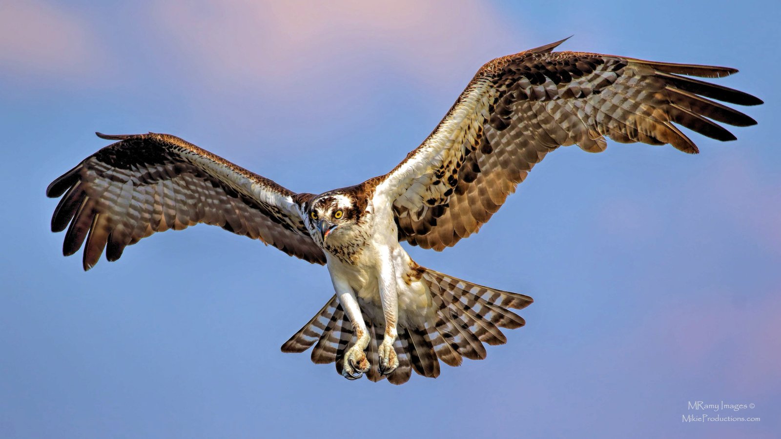 Final Approach + Re-Post