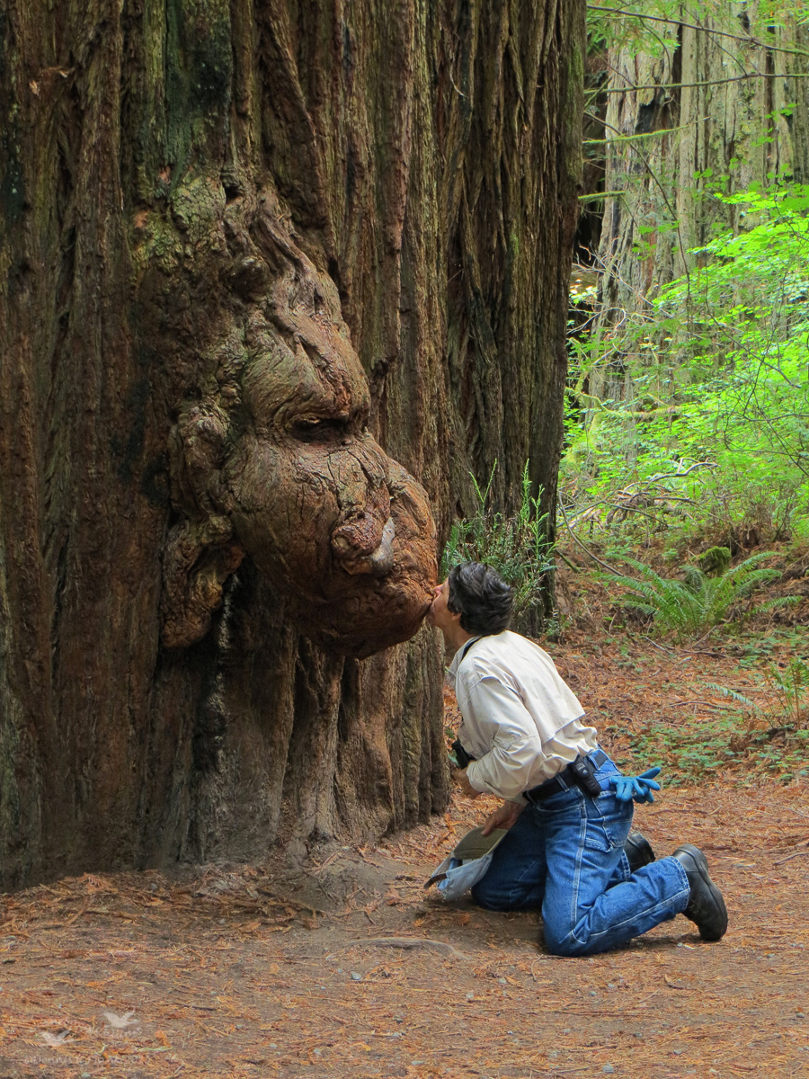 My Wife and the Ogre