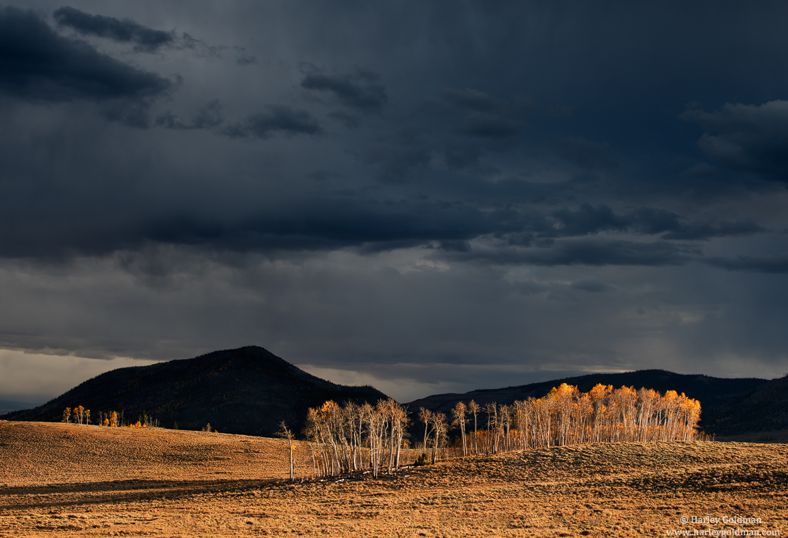 Approaching Storm